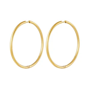 RVS oorbellen hoops groot Goud kleur Stainless Steel